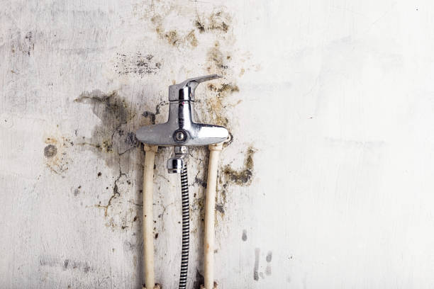 Best Mold Removal Near Me  in Slippery Rock University, PA