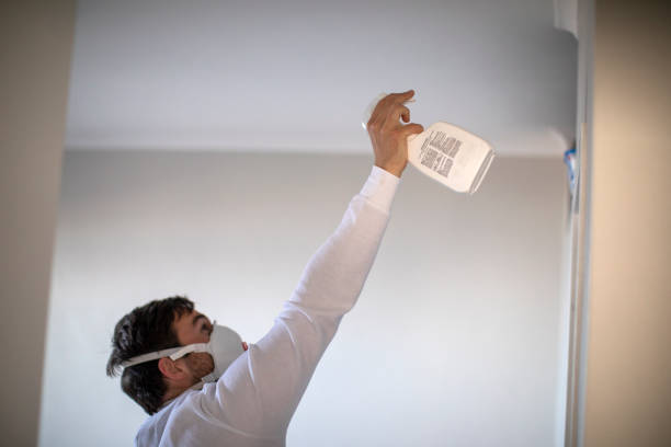 Best Mold Damage Repair  in Slippery Rock University, PA