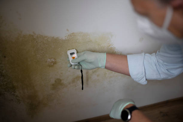 Best Water Damage Restoration  in Slippery Rock University, PA