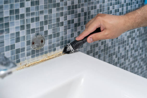 Office Mold Removal Services in Slippery Rock University, PA
